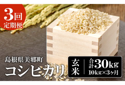 【定期便3ヶ月】令和5年産 石見地方 美郷町産 コシヒカリ 玄米 10kg【令和5年度産 定期便 3回定期 米 玄米 ブランド米 こしひかり 10kg×3回 合計30kg 2023年産】