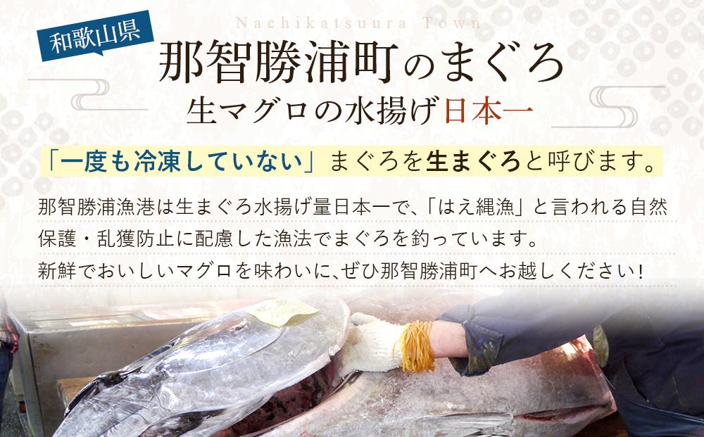 【ご家庭用】天然マグロを使用した まぐろカツ 1.0kg（250g×4パック）｜ 那智勝浦町産 鮪 産地直送 海鮮 冷凍商品 惣菜 おかず フライ 揚げ物 大容量 小分け 訳あり