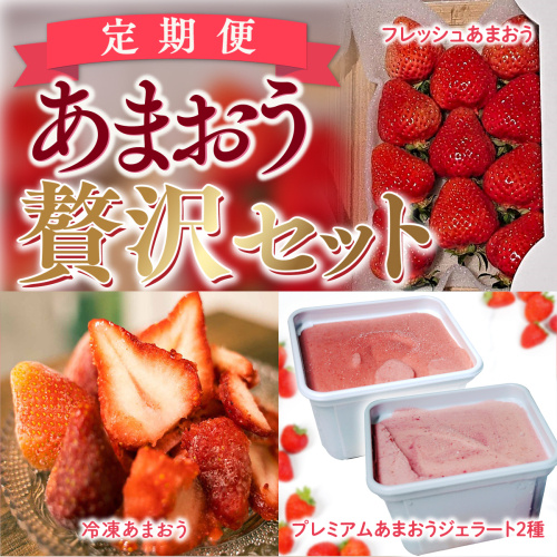 【定期便】あまおう贅沢セット(フレッシュあまおうDX2パック、冷凍あまおう1.5kg、あまおうジェラート2種)　先行予約　※2025年3月上旬から7月のお届けとなります。　MY007