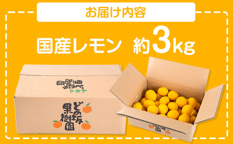 【2027年発送先行予約】レモン 国産 レモン 3kg(L～4Lサイズ) ノーワックス 減農薬 どの坂果樹園《2027年2月上旬-5月末頃出荷》 和歌山県 日高川町 レモン れもん 檸檬 旬 果物 フ