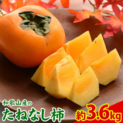 【ふるさと納税】和歌山産のたねなし柿 約3.6kg 秀品《2025年10月上旬-11月末頃より出荷予定》 和歌山県 紀の川市 紀の川市厳選館 柿 カキ かき ジューシー フルーツ 秋の味覚 刃根早生 平核無柿　紀の川柿