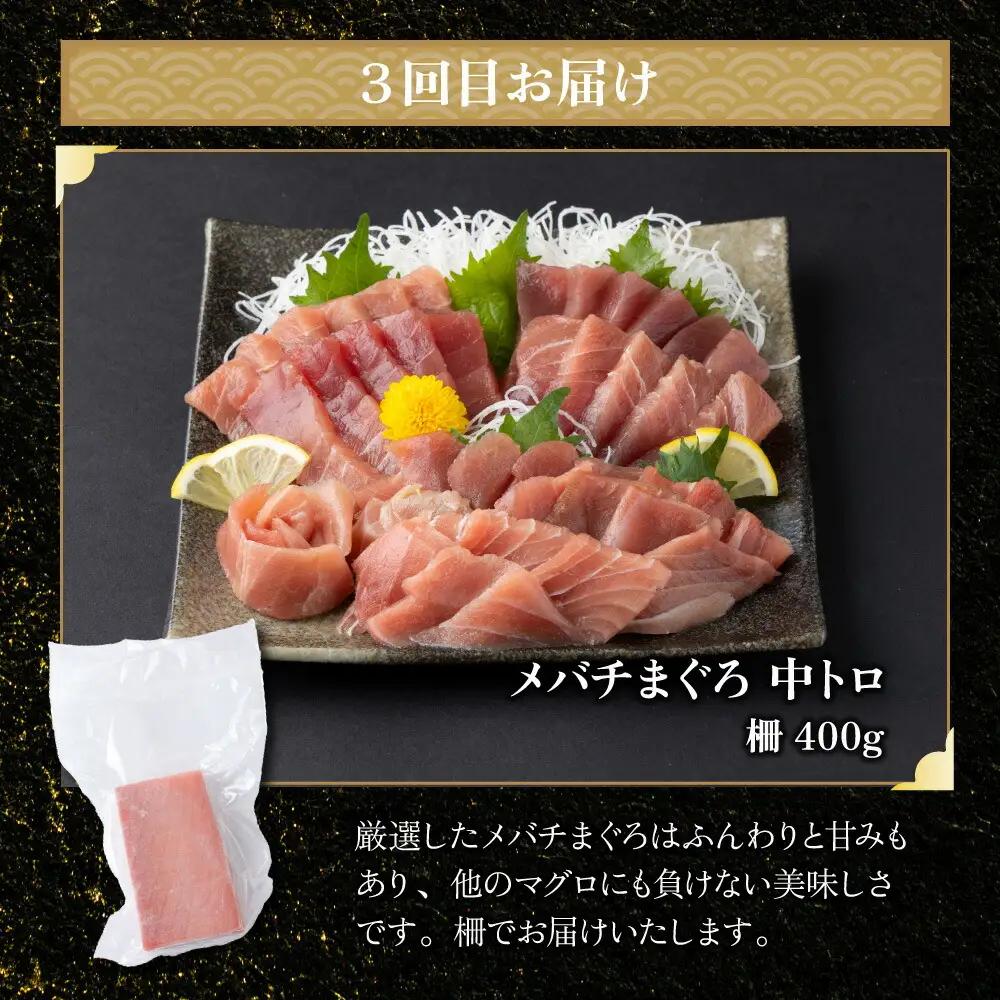 【定期便/計6回】海鮮【惣菜海鮮】tk110
