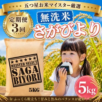 ふるさと納税 大町町 【毎月定期便】【無洗米】さがびより5kg(大町町)全3回