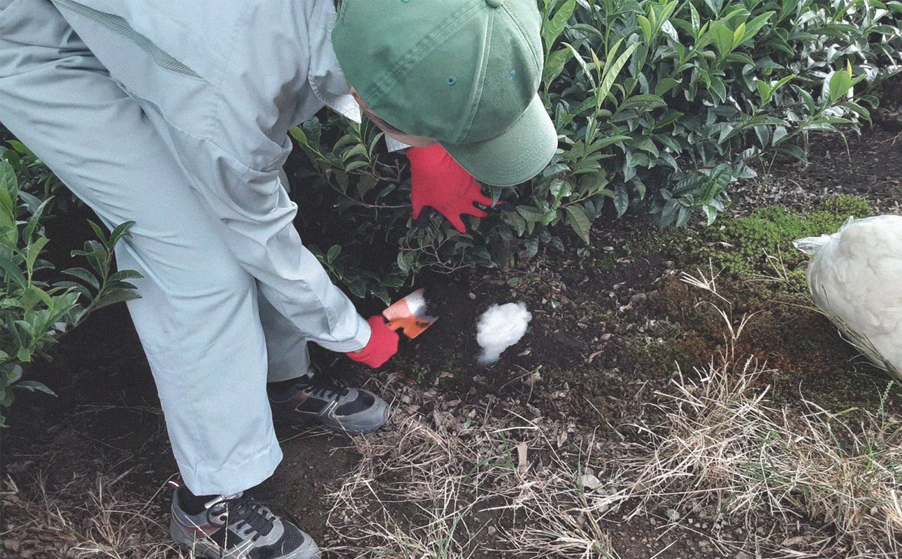 四日市認定地場特産品【泗水十貨店（しすいじっかてん）】ウールで育てたお茶（４箱セット）手提げ袋付き