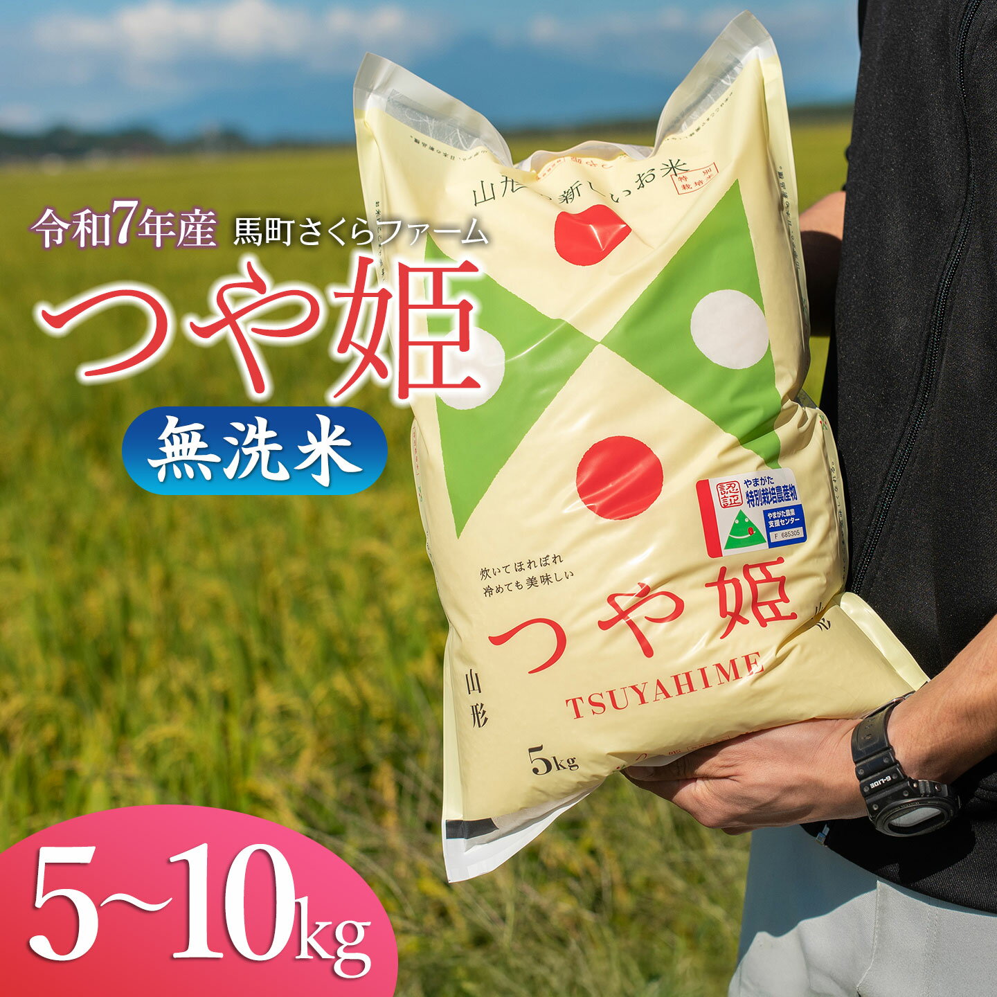 【ふるさと納税】令和7年産 馬町さくらファームの つや姫 無洗米 ［お選びください5kg・10kg(5kg×2袋)］ 特別栽培米 山形県鶴岡市 K-737・K-774　| 米 つやひめ お米 コメ こめ ご飯 ごはん ブランド米 庄内米 国産 美味しい 農家直送 お弁当 おにぎり おすすめ 返礼品