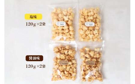 おかき 天日干し 揚げおかき 醤油 塩 2種セット ×2 【おかき】【ho1401】