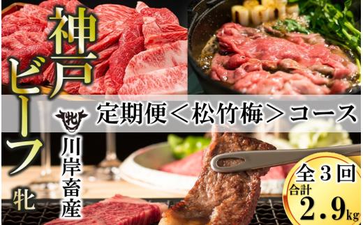 【神戸牛 牝 定期便】いろんな神戸ビーフを味わう〈松竹梅〉定期便コース（合計2,900g）　（300-5）