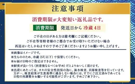 生食用 真牡蠣「ぷりみ」約3kg かき 牡蠣