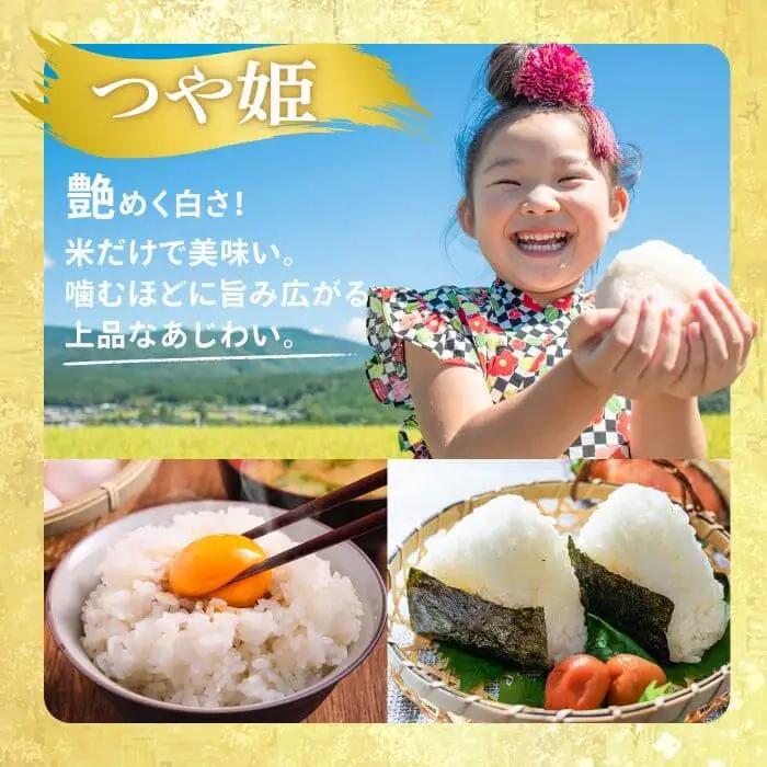 ≪令和7年産≫ つや姫 精米 10kg(10kg×1袋) 登米市産 米 お米 おこめ ごはん ご飯 白米 おにぎり お弁当 10kg 【宮城商事株式会社】tm467