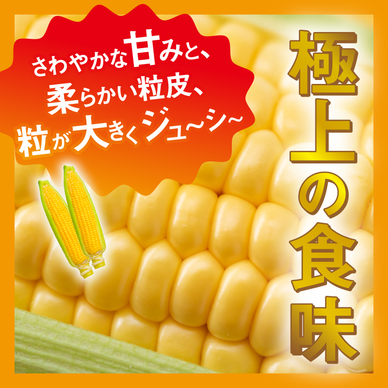 ≪2024年 先行予約≫富士北麓忍野村の気候、水、自然で作られた朝採りトウモロコシ（ゴールドラッシュ）