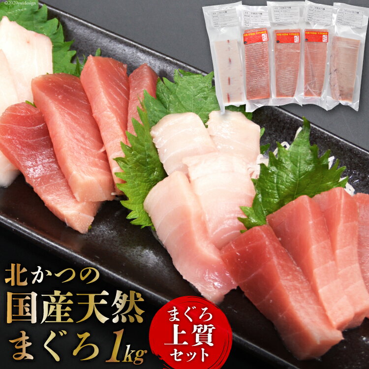【ふるさと納税】北かつのマグロ上質セット (マグロ中トロ 200g マグロ上質赤身 200g×2 メカジキ 200g びんちょう 200g）合計1kg [北かつ商事 宮城県 気仙沼市 20563511] 魚 鮪 マグロ 中トロ まぐろ 赤身 刺身 魚介 メカジキ 冷凍