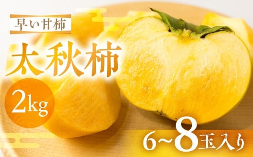 【令和8年産】 先行予約 《早い甘柿》大野農園 太秋柿 約2kg (6～8玉入) 10月上旬～10月中旬発送予定｜ かき カキ 太秋 たいしゅう フルーツ 果物 くだもの 贈答 ギフト 岐阜県 本巣市[mt1685] 10000円