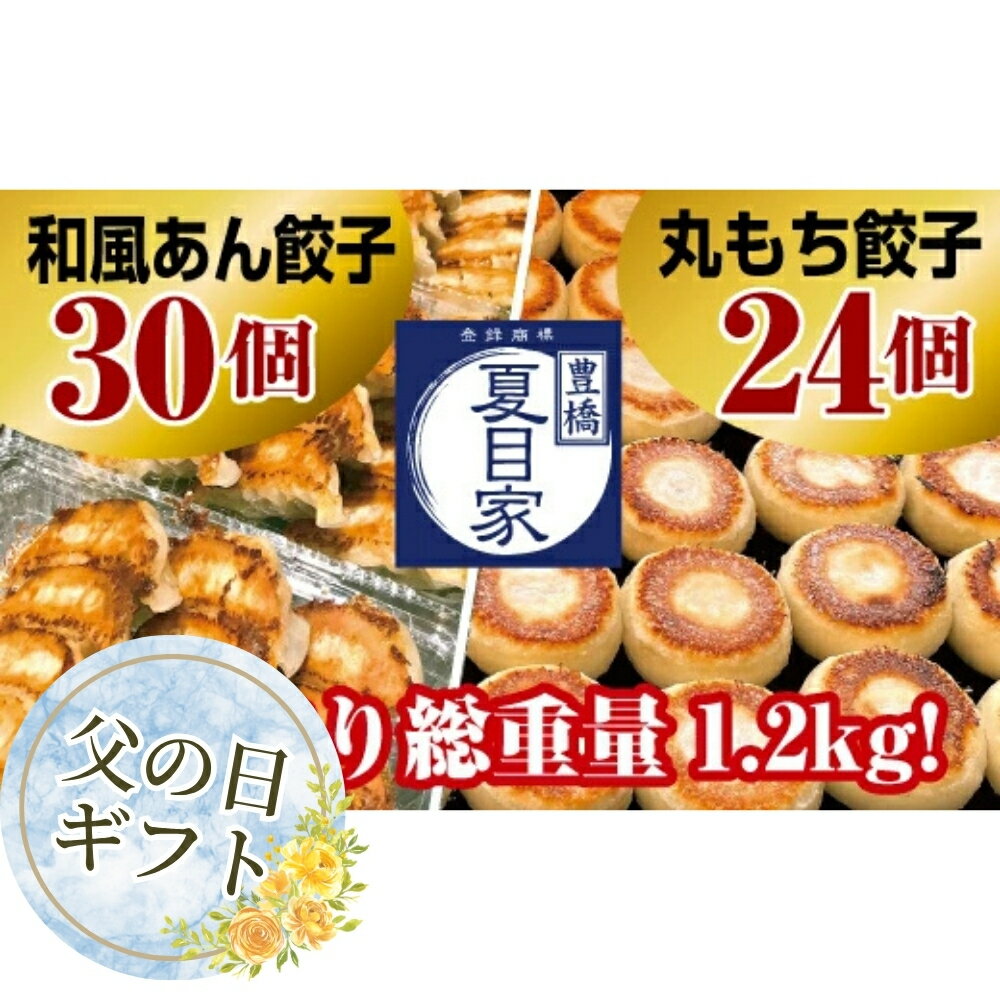 【ふるさと納税】≪父の日お届け≫夏目家 餃子 2種食べ比べ 54個 和風あん餃子 30個 丸もち餃子 24個 中華 惣菜 簡単調理 お楽しみ 豊橋市 送料無料