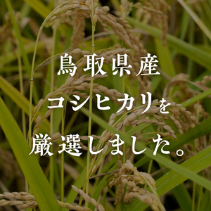 【新米・予約】【白米】令和6年産 鳥取県産コシヒカリ 20kg 米 お米 こめ コメ 精米 日南町精米 鳥取県日南町