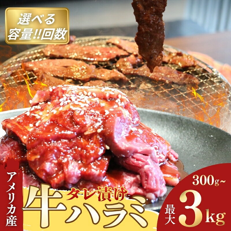 【ふるさと納税】アメリカ産 タレ漬け 牛ハラミ 選べる容量 300g～3kg 定期便 牛肉 焼肉 焼き肉 アウトドア BBQ ハラミ 牛肉 タレ漬け 大容量