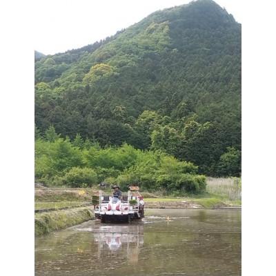 ふるさと納税 石岡市 【令和7年産】獅子米 いのちの壱 玄米 10kg |  | 01