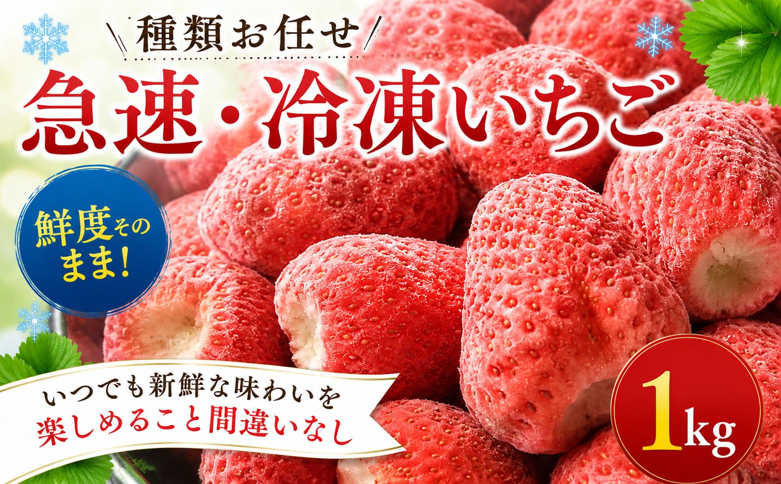 
                  冷凍 いちご 1kg 種類お任せ 2種 瞬間冷凍 国産 おいCベリー かおり野 スターナイト チーバベリー やよいひめ よつぼし ぽりっちご ベリーポップすず 苺 フルーツ スムージー 果物 甘い スイーツ デザート イチゴ ichigo ストロベリー strawberry 数量限定 東金 千葉
                