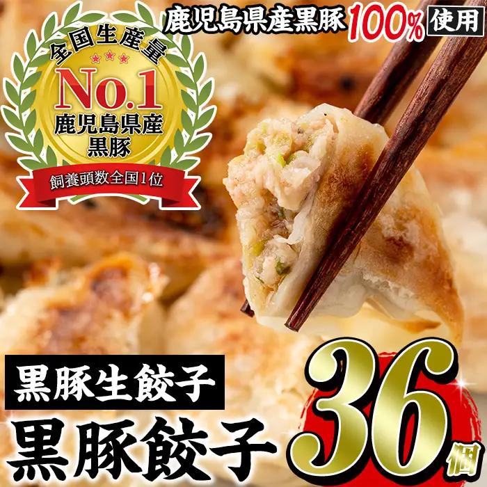 No.1327-n 鹿児島黒豚使用の黒豚生餃子(計36個・12個入り×3パック)国産 九州産 ぎょうざ ギョウザ 冷凍 黒豚 豚肉 お肉 おかず【末永商店】