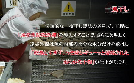 《定期便》津田水産 極上ひもの定期便【12回お届け】