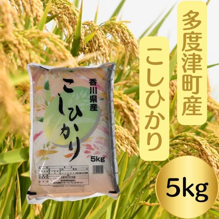 
                  【令和7年産】多度津町産こしひかり 5kg 【L-38】
                