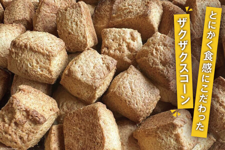 ザクザク スコーン オススメ10コセット(1) (プレーン チョコチップ 発酵バター キャラメルコーヒー ホワイトチョコクランベリー)各2個 計10個