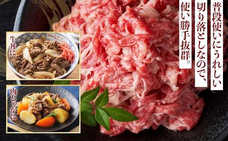 博多和牛A4ランク以上切り落とし 1kg（500g×2P）