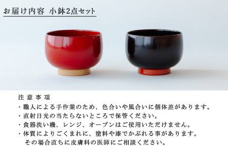 【ふるさと納税限定】aisomo cosomo 小鉢2点セット レッド×ベージュ / 溜×オレンジ ツートンカラーのPOPな越前漆器＜100%天然漆＞【老舗塗師屋創業230年】