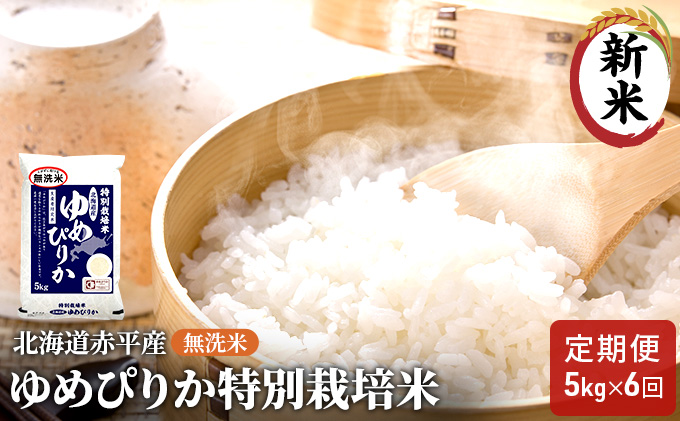 【先行予約2025年産米・11月下旬より順次出荷】無洗米 北海道赤平産 ゆめぴりか 5kg 特別栽培米 【6回お届け】 米 北海道 定期便 ふるさと納税 