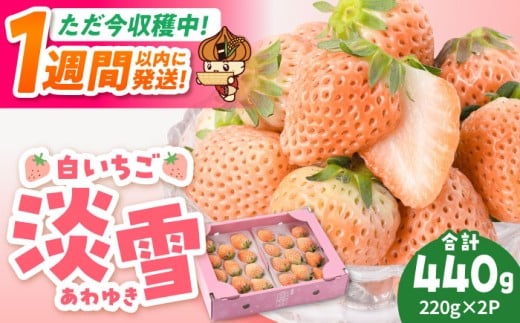 いちご【スピード発送】【農家直送/アフターフォロー】白石町産 「淡雪」220g×2パック【岸川農園】 いちご 苺 イチゴ あわゆき 淡雪 しろいちご 白苺 12000 12,000円 苺 いちご 苺 果物 イチゴ イチゴ 苺 ichigo strawberry ストロベリー 旬 産地直送 イチゴ フルーツ 果物 国産 いちご ベリー 人気苺 ふるさと納税苺 おすすめ苺 いちご [IAP005]