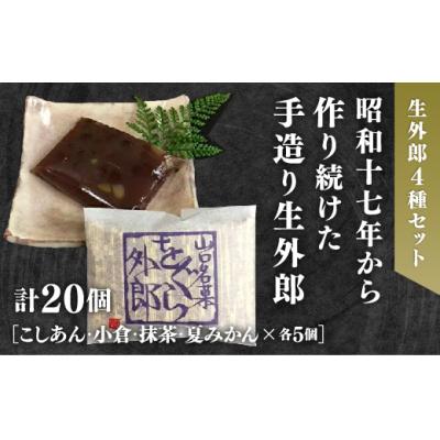 ふるさと納税 山口市 4種類の生外郎20個セット D687