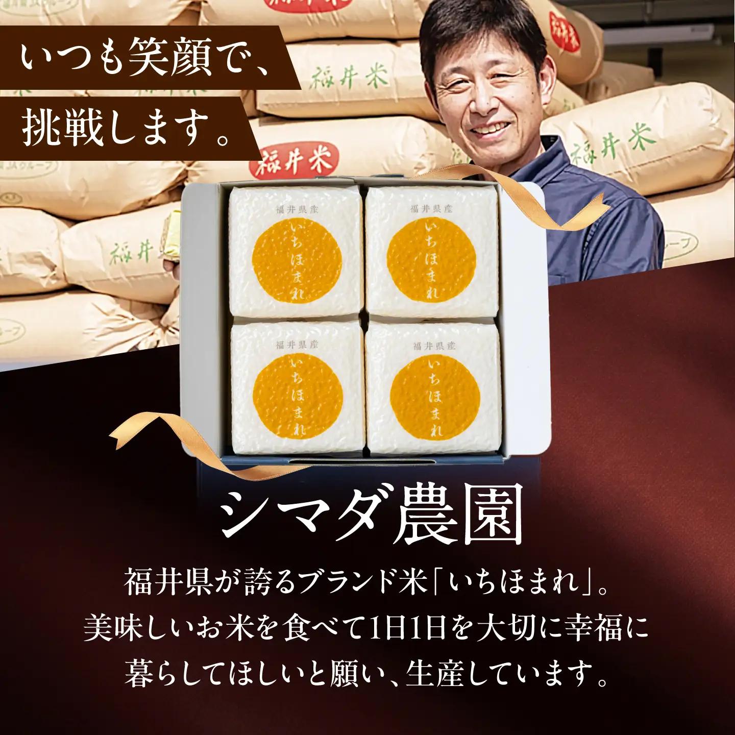 福井県産いちほまれ 真空キューブ ギフト 2合×4パック (300g×4パック)[BFAV025]