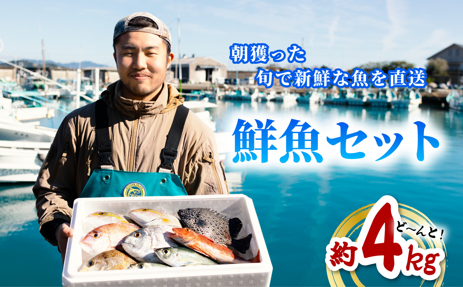 
産地直送！ 海陽町より旬の魚をお届け！ 鮮魚セット 中セット 約４kg 詰め合わせ
