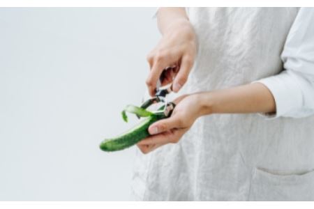 ステンレスピーラー （AL-160）