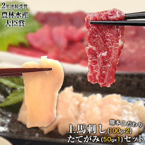 【ふるさと納税】馬刺し 上赤身 ブロック 国産 熊本肥育 冷凍 生食用 たれ付き(100g×2)＋たてがみセット(50g×1) 肉 期間限定 絶品 牛肉よりヘルシー 馬肉 予約 平成27年28年 農林水産大臣賞受賞 熊本県山江村《90日以内に出荷予定(土日祝除く)》