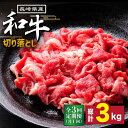 【ふるさと納税】【3回定期便】長崎県産 和牛 切り落とし1kg / 牛肉 すき焼き しゃぶしゃぶ すき焼き肉 赤身 定期便 肉定期便 / 南島原市 / 高田牧場 [SDB005]