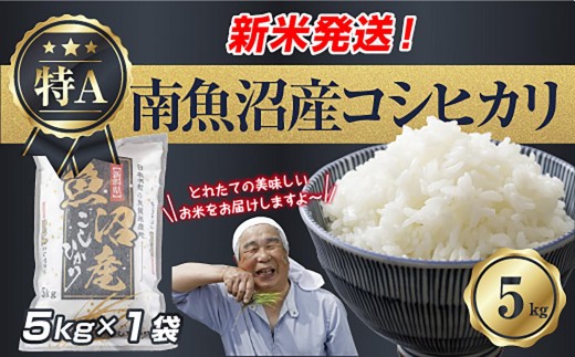
                  【令和8年産　新米予約】新潟県 南魚沼産 コシヒカリ お米 5kg 精米済み（お米の美味しい炊き方ガイド付き） お米 こめ 白米 こしひかり 食品 人気 おすすめ 送料無料 魚沼 南魚沼 南魚沼市 新潟県産 新潟県 精米 産直 産地直送 お取り寄せ【2026年10月中旬より1ヶ月以内に順次発送予定】
                