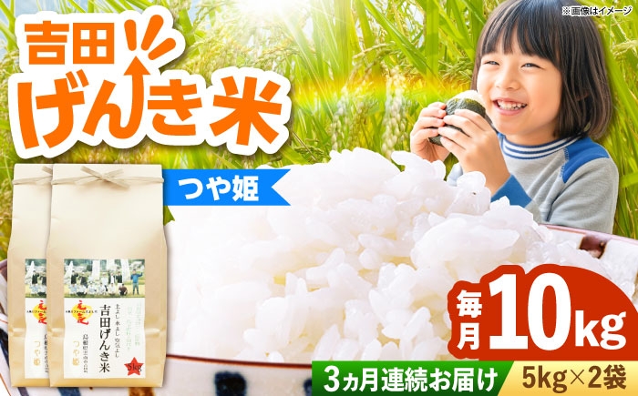 
                  【新米予約】令和8年産 新米 10kg 定期便 3か月 つや姫 吉田げんき米 島根県雲南市産 お米 定期便 10kg 3回 計30kg 米 おこめ コメ 白米 精米 国産 つやひめ 新米定期便 米定期便 10キロ [AIDB127-r8]
                