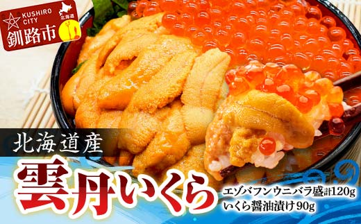 【期間限定！寄附額改定↓！】えぞバフンうに折60g×2 いくら醤油漬け90g×1 ふるさと納税 うに いくら _F4F-8829