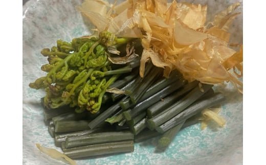 【通常配送】採れたて山菜　あく抜きわらび　200ｇ×4束