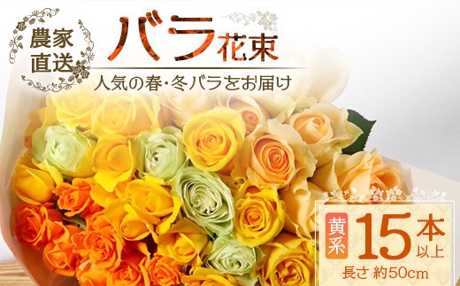 
                  ※先行予約※【日付指定必須・ギフト対応可】ばら農家直送！人気の春・冬薔薇をお届け♪ バラ花束15本以上(黄系) TB-11│ローズ 新鮮 花 フラワー 花束 ばら 薔薇 バラ 誕生日 記念日 結婚祝い ギフト プレゼント お祝い 贈り物 贈答 鹿児島県 南大隅町 富田バラ園
                
