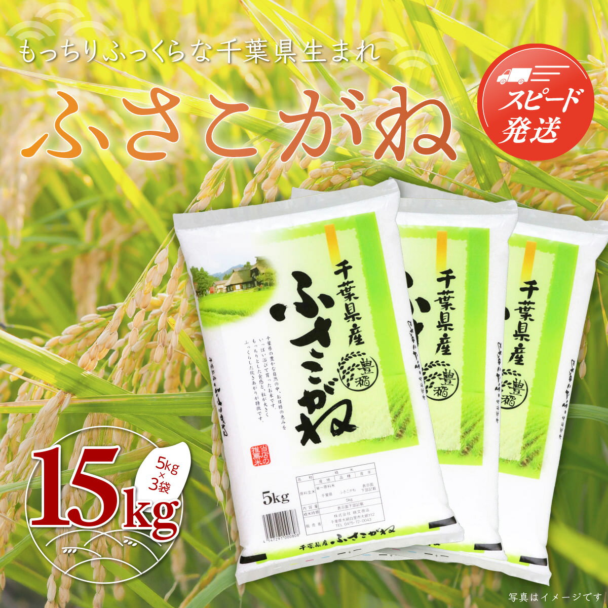 【ふるさと納税】【最短2～7営業日出荷】令和7年産 千葉県産「ふさこがね」15kg（5kg×3袋） ふるさと納税 お米 15kg 千葉県産 大網白里市 ふさこがね 米 精米 こめ 送料無料 A048