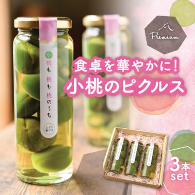 ふるさと納税 山梨県 食卓が華やぐ♪前菜やワインのお供に!桃のピクルス「小桃も桃も桃のうち」3本ギフト