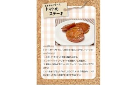 1月～6月毎月発送 プレミアムフルーツトマトの定期便 6回コース H004-163