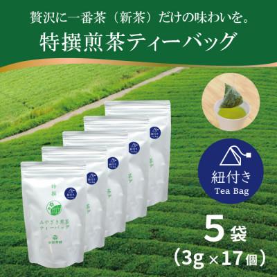 ふるさと納税 日向市 特撰みやざき煎茶ティーバッグ(紐付き)5袋