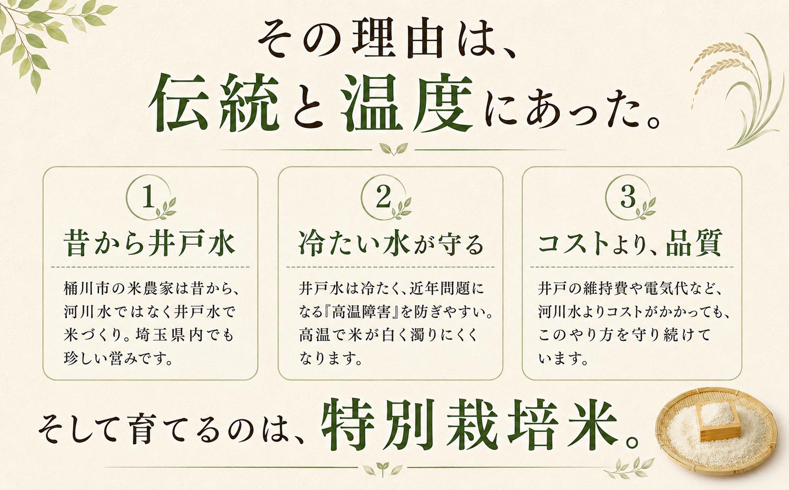 小島農園の桶川市産・特別栽培米のコシヒカリ。井戸水で育てたお米です。