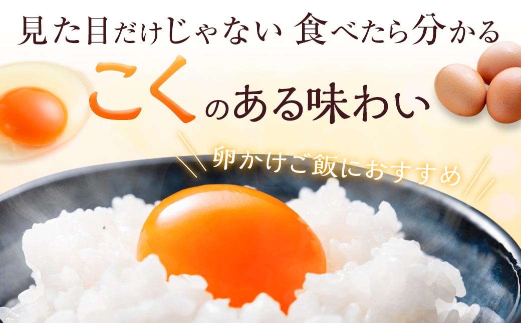 【3ヶ月定期便】 赤穂の源 50個