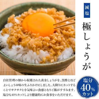 ふるさと納税 芸西村 減塩　味付け極しょうが　110g×1袋【SNS018】 |  | 01