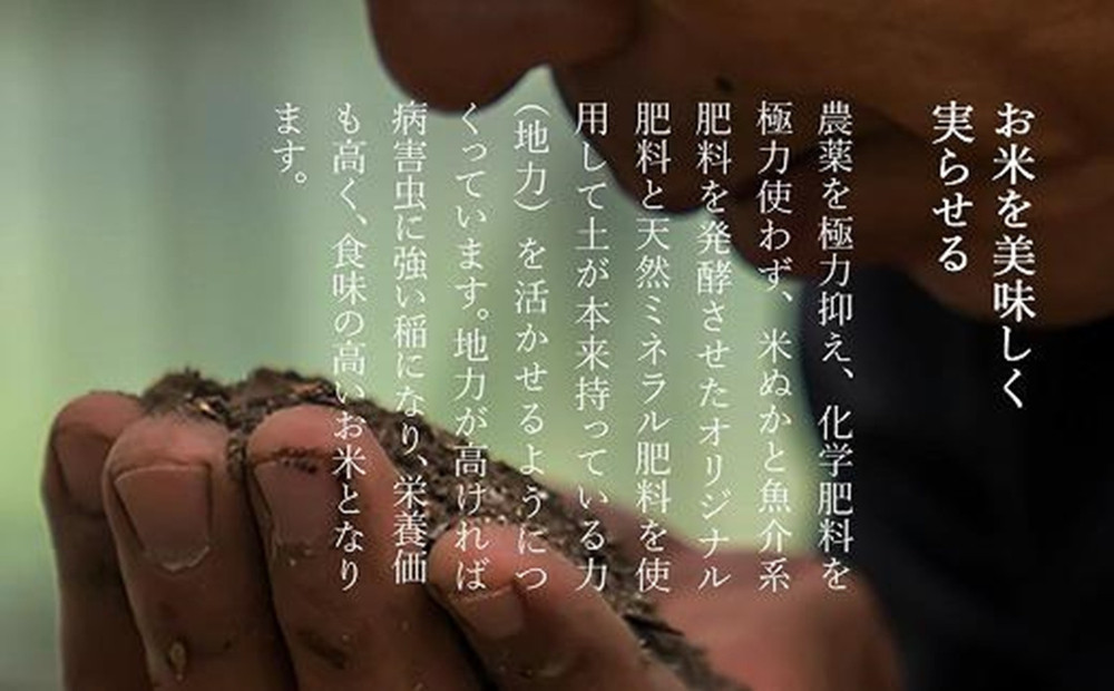 【令和７年産】南魚沼産 笠原農園米 新之助 5kg
