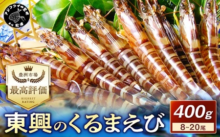 【先行予約】【宅配BOX不可】東興のくるまえび400g入【1月～2月上旬発送】( くるまえび 東興のくるまえび 車海老 海老 エビ )【B6-029-01】