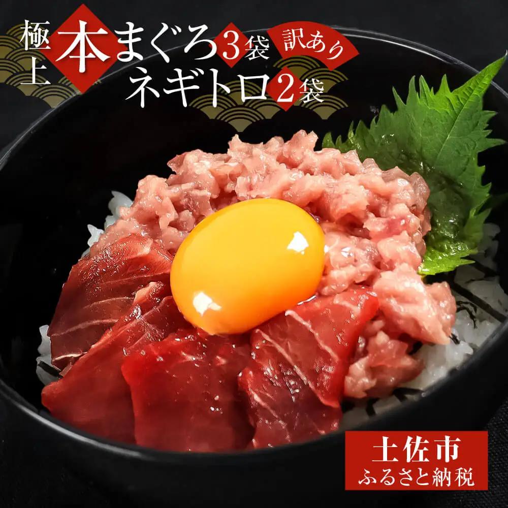 【訳あり】本鮪端材切り落とし・ネギトロセット 本鮪切落し100g×3・ネギトロ70g×2  高知県土佐市 【株式会社大熊】 [BQAA030]